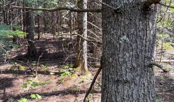 TBD Lot E Gratiot River, Allouez, MI 49805