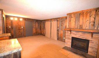 107 PEAKS VIEW Ct 324, Blue River, CO 80424