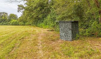 0 SEATON, Adamsville, TN 38310