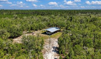 7000 NW 7th Way, Bell, FL 32619