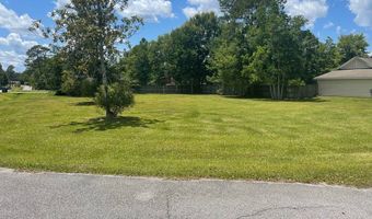 NHN Hilltop Drive, Carriere, MS 39426