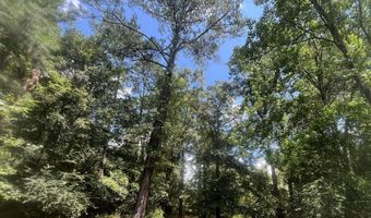 0 Christi Smith Rd, Andalusia, AL 36421