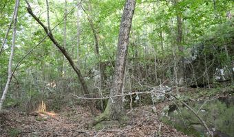 Whiskey Creek Lane, Batesville, AR 72501