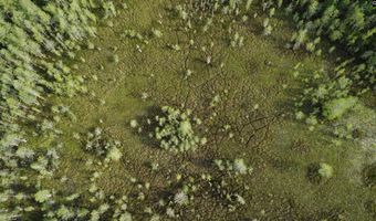Goldenrod Drive, Barnwell, SC 29812