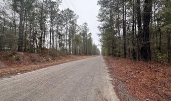 Ethridge Drive, Andrews, SC 29510