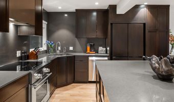 100 N Eighth St 3, Aspen, CO 81611