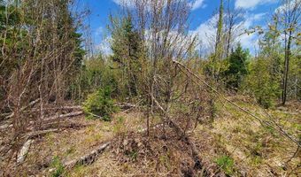 Cone Road lot # 2, Amity, ME 04471