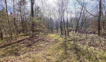 HIGHWAY 231 lot Tract - 27+/- Ac, Ashville, AL 35953
