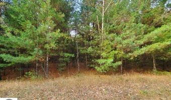 0 Buffalo Trl, Alger, MI 48610