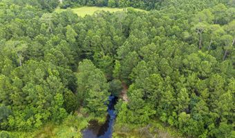 1441 Blue Meadow Rd, Bay St. Louis, MS 39520