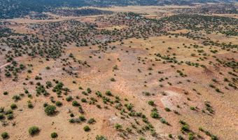 27 County Road N8477, Concho, AZ 85924