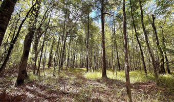 Eugene Ward Road, Adrian, GA 31002