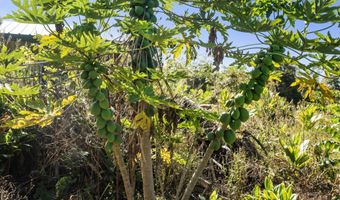 81-1045 KEOPUKA MAUKA Rd, Captain Cook, HI 96750