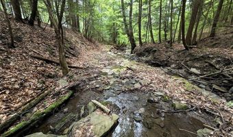 Stewart Road, Addison, NY 14801