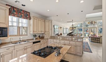 990 E Hopkins Ave, Aspen, CO 81611