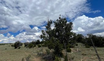 00 TBD, Concho, AZ 85924