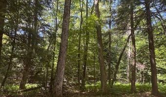 1585 Chateauguay Rd, Barnard, VT 05031