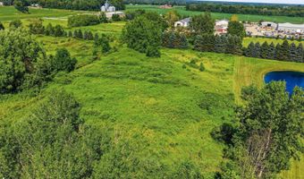 7150 Old Farm Trl, Almont Twp., MI 48003