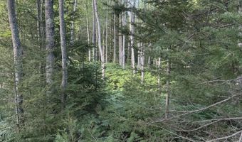 50 Acres Herron Rd, Alpena, MI 49707