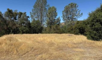 41902 Woodward Way, Ahwahnee, CA 93601