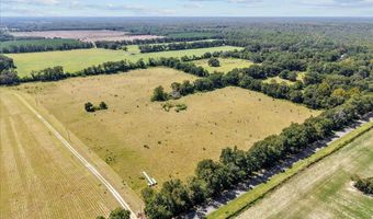 232 344 County Road 344, Bell, FL 32619