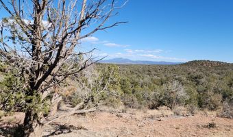 Scorpion lot 50, Ash Fork, AZ 86320