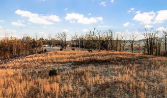 208 Cabin Rd, Ava, MO 65608