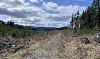 Northrup Creek Rd, Birkenfeld, OR 97016