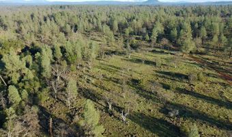 Buffalo Drive, Anderson, CA 96007