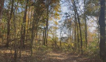 County Road 215, Abbeville, MS 38601