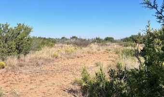2425 Braune Rd, Abilene, TX 79606