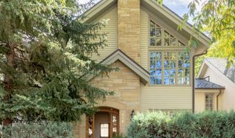 316 W End St, Aspen, CO 81611