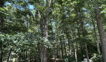 12260 Potomac Highlands Trl, Arbovale, WV 24915