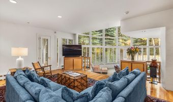 431 W Hopkins Ave, Aspen, CO 81611