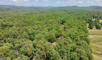 0 Hwy 105, Baldwin, GA 30511