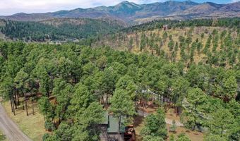 103 Woodbrier Ct 2, Alto, NM 88312