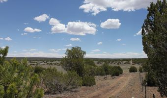 N8190, Concho, AZ 85924