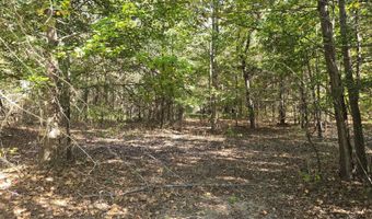 194146 N 4223 Rd, Antlers, OK 74523