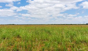 Ave Q, Anson, TX 79501