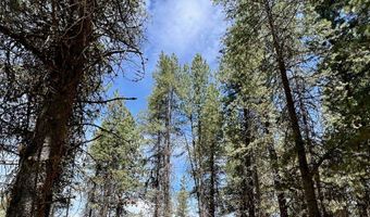 1909 Gold Dust Rd 60, Cascade, ID 83611
