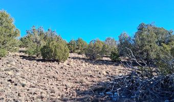 5 N8715, Concho, AZ 85924