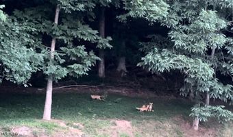 375 Middle Creek Rd, Afton, TN 37616
