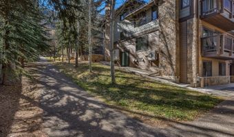 650 S Monarch St 7, Aspen, CO 81611