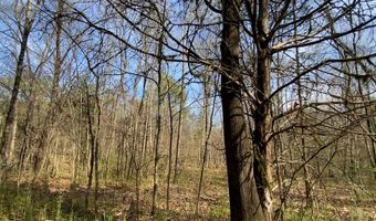 HIGHWAY 231 lot Tract - 27+/- Ac, Ashville, AL 35953