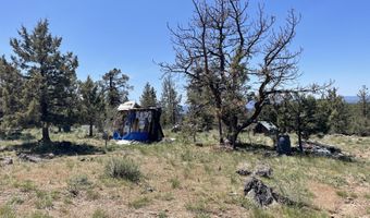 Beaver Lane 37, Bonanza, OR 97623