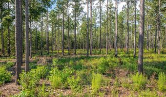 221 Ac Crestview Rd, Arlington, GA 39813