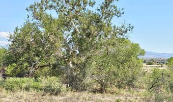 20 RT Dr, Buckhorn, NM 88025