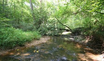 TBA BETTYS BRANCH RD X, Arvonia, VA 23004