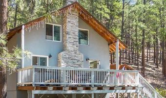 305 Pine Valley Rd, Bayfield, CO 81122