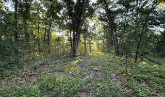 000 Jasmine Ave, Atlanta, MO 63530
